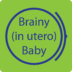 Brainy (in utero) Baby